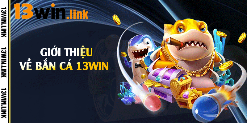 Giới thiệu về bắn cá 13win